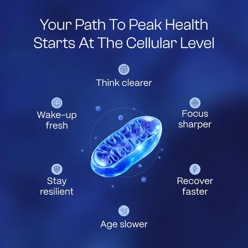 Vista 2 de HEALTHLETIC Gotas de azul de metileno – Solución USP de grado farmacéutico al 1% fabricada en Estados Unidos – Apoya la claridad mental, el enfoque