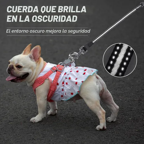 Vista 6 de Correa retráctil para perros de 20 pies para perros pequeños y medianos de hasta 44 libras Negro