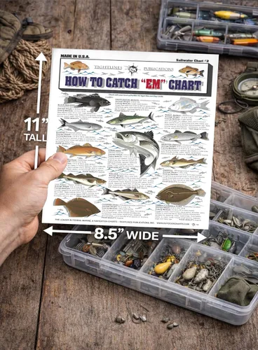 Vista 4 de Tabla de identificación de peces de agua salada #2 – Guía de pesca de referencia rápida impermeable – Identificación de especies + métodos de pesca