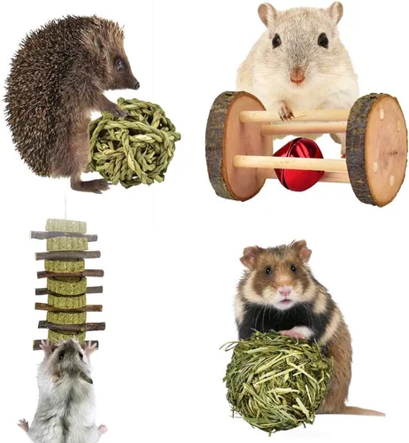 Vista 4 de ERKOON Paquete de 12 juguetes para masticar hámster, rata, cobaya, chinchilla, accesorios para masticar, mancuernas de madera natural, rodillo
