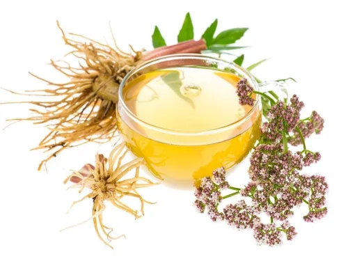 Vista 4 de Nature Tea - Raíz de valeriana officinalis - Cortada de raíz suelta seca (2 onzas)