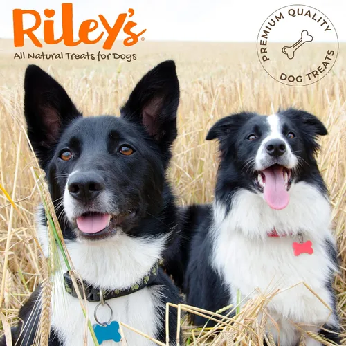 Vista 8 de Riley's Steer Bully Sticks para perros pequeños a medianos – Premio para perros de un solo ingrediente, fácilmente digeribles, 100% palitos de carne