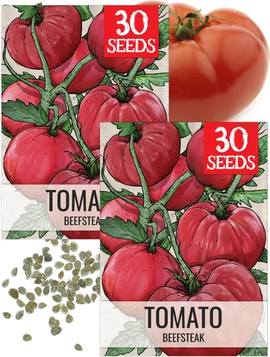 Vista 14 de Seed Needs Semillas de tomate para plantar tomates indeterminados de carne de res verdaderos, reliquia sin OMG y semillas de vegetales sin tratar