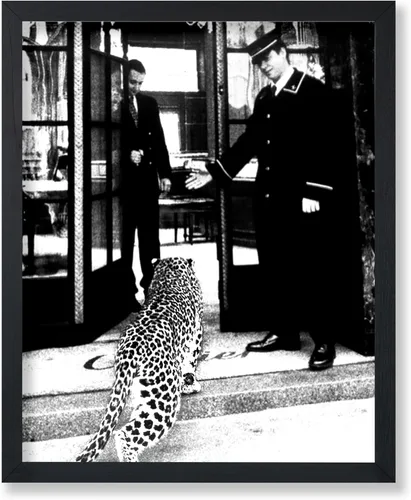 Vista 46 de Poster Master Póster de leopardo – Pantera en impresión de boutique de moda – Arte de fotografía – Arte animal – Arte en blanco y negro – Arte