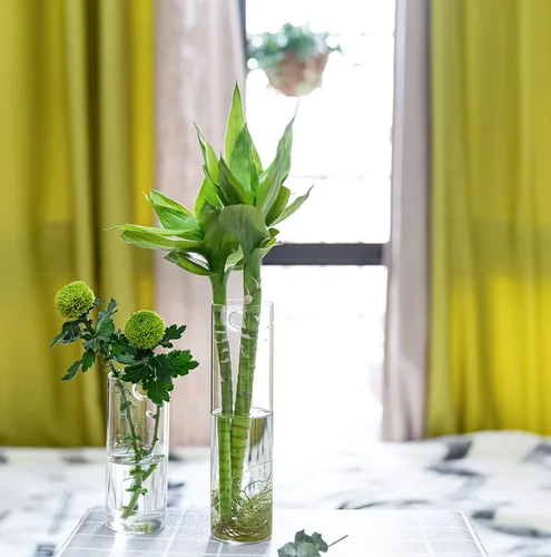 Vista 4 de Paquete de 2 macetas colgantes de pared, terrarios de vidrio, soportes cilíndricos para plantas de aire, plantas de aire, macetas para suculentas