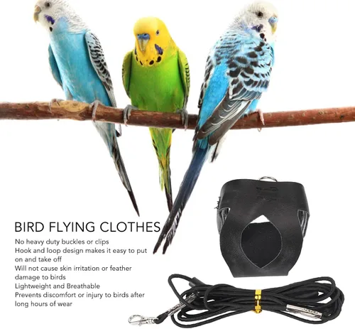 Vista 3 de Chaleco de arnés de vuelo de pájaro, traje de vuelo de loro transpirable con correa, ropa de vuelo de pájaro con cuerda, correa de nailon