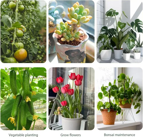Vista 5 de Paquete de 5 soportes apilables para plantas Monstera, nuevas estacas para plantas 2025 para uso en plantas de interior y exterior, estacas