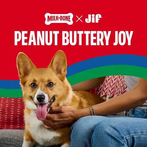 Vista 4 de Milk-Bone Galletas para perro bañadas con mantequilla de cacahuete real, horneadas, 32 onzas, (paquete de 4)