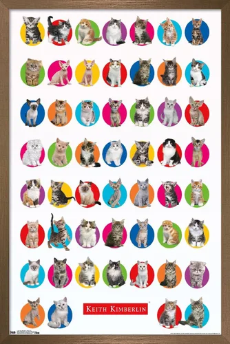 Vista 15 de Trends International Keith Kimberlin - Póster de pared de cuadrícula de gatito, 14.725 x 22.375 pulgadas, versión enmarcada de madera de granero