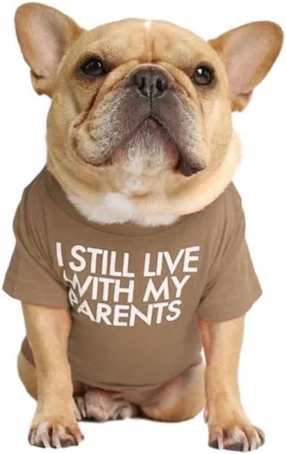 Vista 9 de Camisa para perro de bulldog francés para mascotas, camisetas para cachorros, camiseta de gato, transpirable, elástica, disfraces, talla M