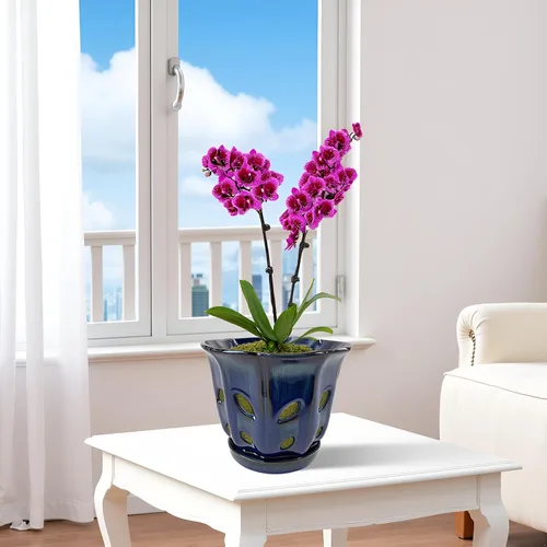 Vista 5 de Ceramic Orchid Pots with Holes 6 inch (Dark Blue)