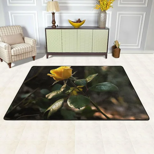 Vista 10 de Area Rugs for Living Room 36X24 inch Non-Slip Doormat Low Profile Floor Mats Retro Camera Area Rug Entrance Mat Machine Washable Carpet for Bedroom