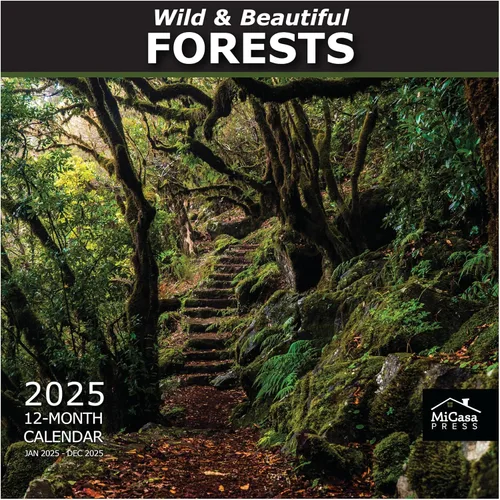 Vista 77 de MICASA PRESS National Parks - Calendario de pared 2027 de 12 meses 2-01 - Parques Nacionales Salvajes y Hermosos