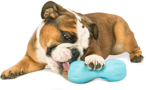 Vista 4 de West Paw Design, Juguete para perro Qwizl Aqua Pequeño