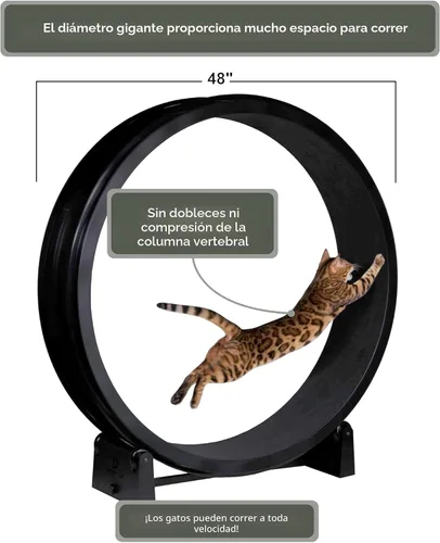 Vista 5 de One Fast Cat - Rueda de ejercicio para gatos, fabricada en los Estados Unidos, 48 pulgadas de diámetro, Gen. 7