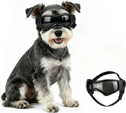 Vista 8 de Gafas de sol para perros para razas extra pequeñas, protección UV, resistentes al viento, XS con correas ajustables para la cabeza y la barbilla