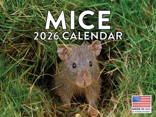 Vista 164 de Calendario mensual de pared de alpaca 2025 Fabricado en Estados Unidos
