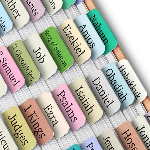 Vista 42 de Mr. Pen - Pestañas de la Biblia, 75 pestañas, tierra otoñal, letras doradas en relieve Laminated Bible Tabs for Women and Men, Bible Tabs for