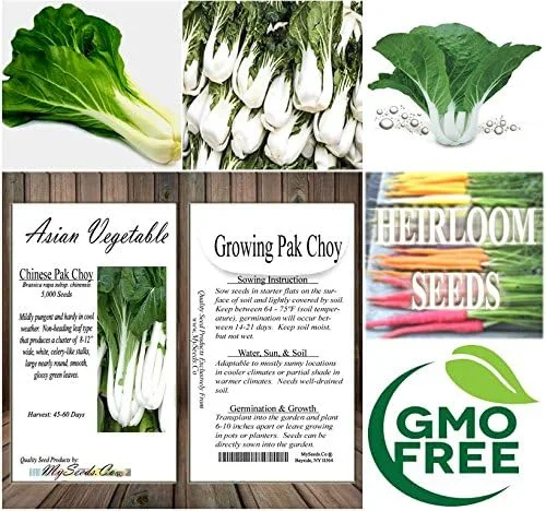 Vista 7 de Paquete grande - Semillas sin transgénicos de MySeeds.Co