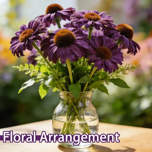 Vista 6 de Semillas de equinácea púrpura (Echinacea purpurea), perenne nativa resistente, paquete de 600 semillas