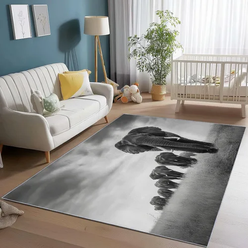 Vista 9 de 2 X 3 ft Small Area Rug for Bedside, Zebra Portrait Lightweight Non Slip Washable Rug with Non-Slip Backing for Front Door Entryway, Animal Throw