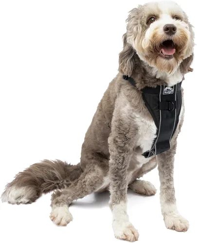 Vista 12 de Kurgo Tru-Fit - Arnés inteligente para caminar para perros, ajuste cómodo, arnés ajustable, ropa reflectante para mascotas, liberación rápida