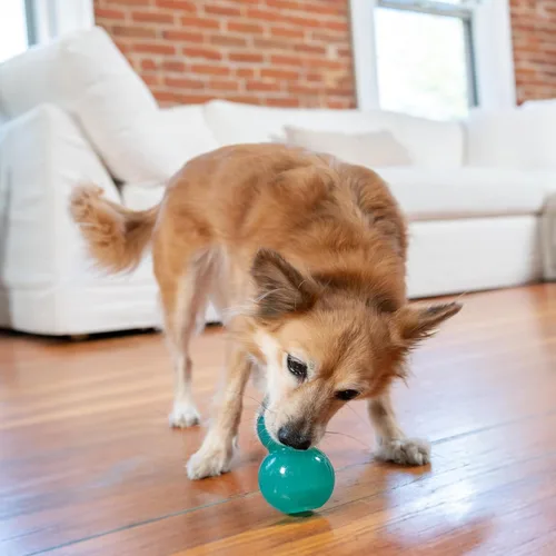 Vista 8 de Outward Hound Juguete para Perros Rellenable Double-Tuff, Mediano 4 Pulgadas Verde - Pelota Masticable Dispensadora de Golosinas para Perros