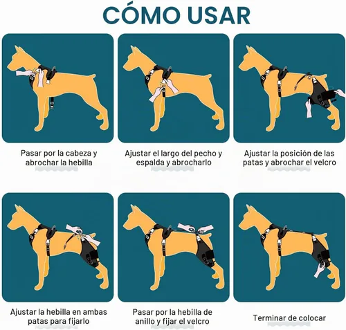 Vista 7 de Rodillera para perro para pierna trasera desgarrada ACL con estabilizador de bisagra ajustable, soporte de espalda de perro para osteoartritis