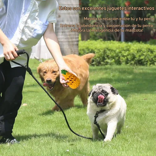 Vista 6 de M.C.works - Juguetes para masticar para cachorros, juguetes masticables para perros para masticadores promedio, juguete para masticar para perros