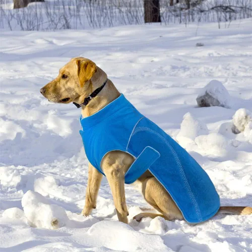 Vista 2 de Abrigo de invierno para perros pequeños, chaleco de chihuahua para cachorros grandes, chaleco reflectante para Roupa Cachorro S-5XL, s, Azul