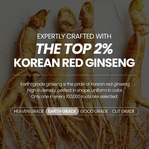 Vista 3 de JUNG KWAN JANG Everytime Korean Red Ginseng Extract Limited Stick – Bebida energética de raíz de ginseng panax rojo de grado terrestre – Suplementos