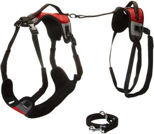 Vista 6 de Correa para perro Lift and Go, pequeña, color rojo