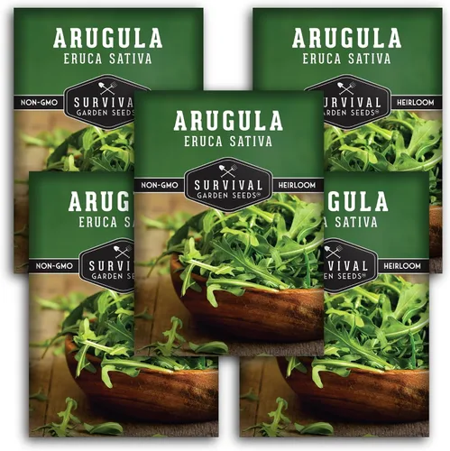 Vista 11 de Semillas de rúcula para plantar, semillas de ensalada de cohetes tradicionales para cultivo en interiores, exteriores, contenedores y microverdes