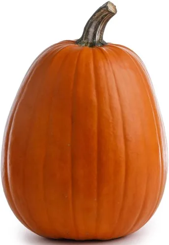 Vista 4 de Calabaza-Howden (30 semillas)