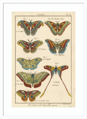Vista 20 de Amanti Art Lienzo decorativo para pared enmarcado de 24 x 18 pulgadas, diseño de mariposas de naturaleza III de historia, arte de pared de animales