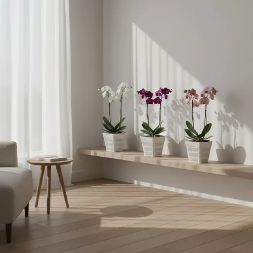 Vista 5 de Maceta cuadrada de plástico para orquídeas con diseño transpirable y transmisor de luz para observación de raíces y crecimiento saludable