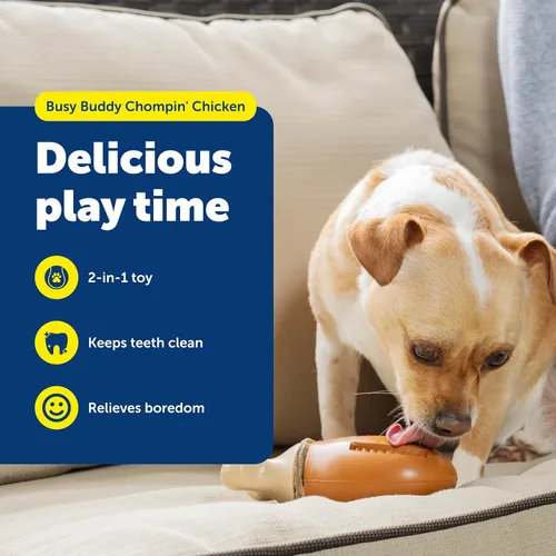 Vista 2 de PetSafe Busy Buddy Chompin' - Juguete de pollo para perros, anillo para masticar, sin BPA, de goma, perfumado, rompecabezas interactivo