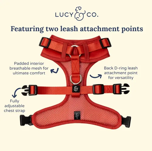Vista 3 de Lucy & Co. The Bolt of Lightning Arnés para perro sin tirones para perros, chaleco para dejar de tirar y caminar fácilmente, cómodo producto