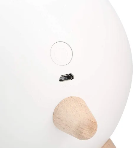 Vista 7 de Yosooo - Lámpara de mesa para gatos, para mascotas, con luz nocturna para gatos y mascotas