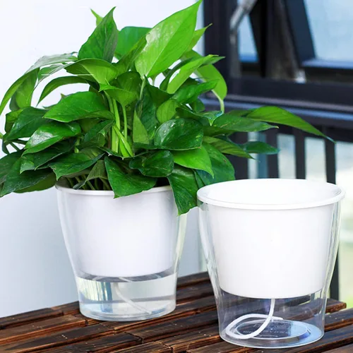 Vista 7 de ZOOFOX Paquete de 4 macetas de riego automático para plantas de interior, maceta grande de plástico transparente de 7 pulgadas, maceta decorativa