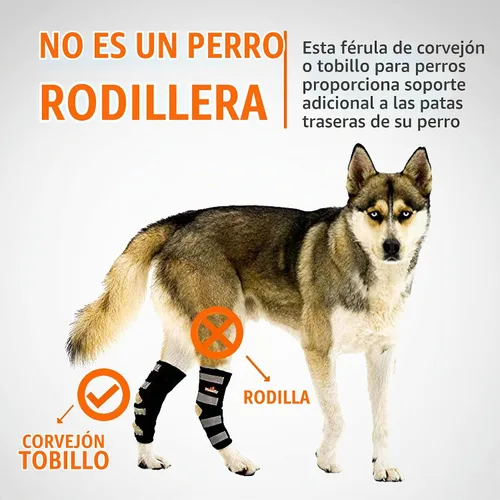Vista 6 de NeoAlly® - Soporte de pierna trasera, soporte de pierna de perro para pierna trasera, soporte de tobillo y soporte para patas traseras, soporte