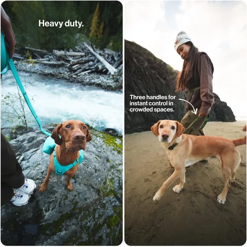 Vista 5 de Säker Kelp™ Correa Impermeable para Perros – Resistente, A Prueba de Olores, Correa para Perros Ajustable de 4 a 6 pies de Largo con Mosquetón
