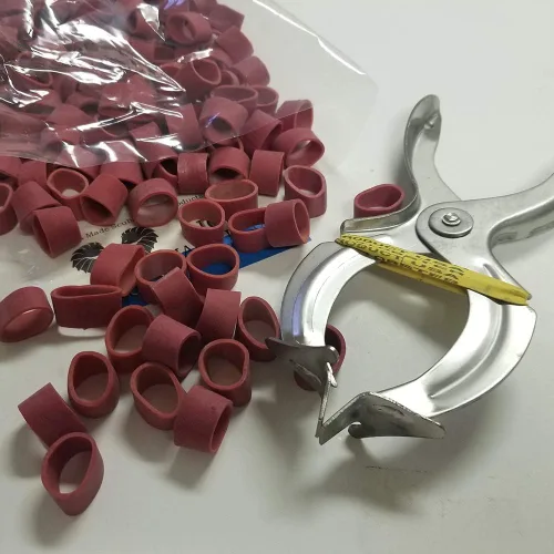Vista 3 de JCS Bandas de langosta Garra Y Pinza para banda Kit de herramientas Bolsa. 1 Lb (alrededor de 500 pcs.)