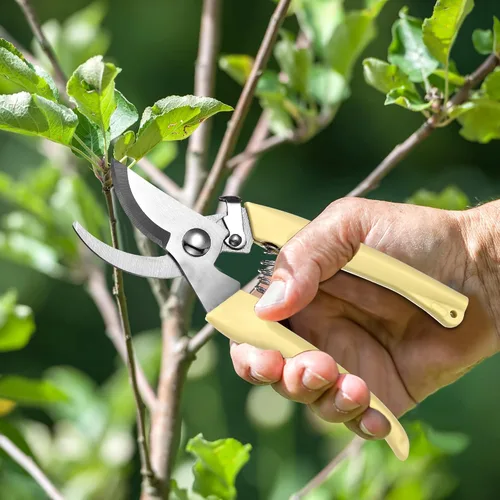Vista 3 de Chumia 6 tijeras de podar de jardín, tijeras de mano resistentes de acero inoxidable para cortar flores, recortar árboles, regalos de jardinería