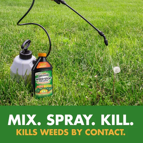 Vista 5 de Spectracide Weed Stop para césped + concentrado matador de pasto de cangrejo, 32 onzas, paquete de 6