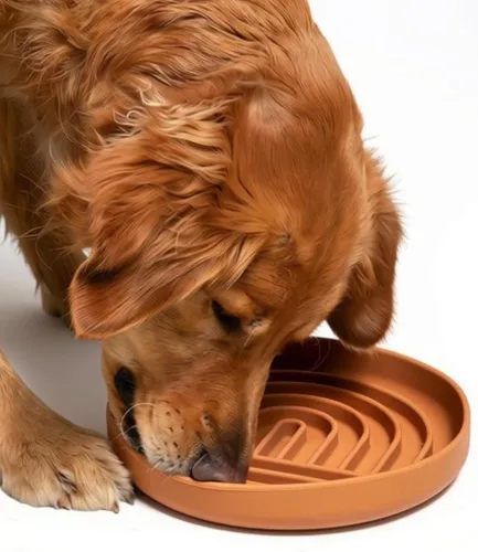 Vista 23 de Should We Go? Alimentador lento para perros y gatos, el tazón Slowdown de silicona, solución para comer lentamente con diseño moderno de alfombrilla
