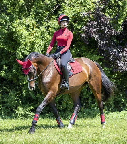 Vista 2 de LeMieux Chilli Grafter Brushing Horse Boots - Equipo de protección y equipo de entrenamiento - Botas equinas, envolturas y accesorios