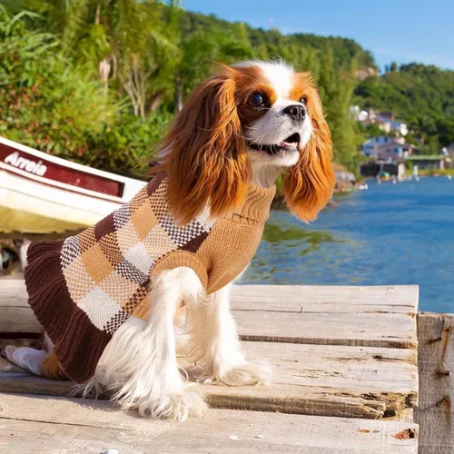 Vista 4 de Vestido suéter para perro, ropa de punto a cuadros para perros pequeños y medianos, cálido pullover de cuello alto elástico para cachorro y mascota