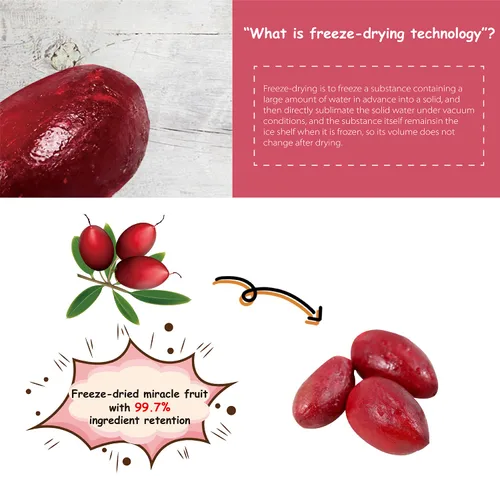 Vista 2 de ¡Ohh! Berry Miracle Berry [las 6 de ellas], las bayas milagrosas son aperitivos de friut 100% naturales y liofilizados para volverse agrias