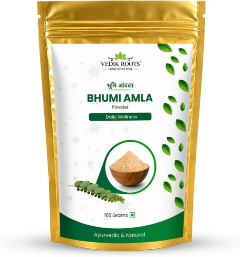 Vista 11 de Polvo orgánico Bhumi Amla – Rico en Vitamina C Antioxidante – Apoya la función inmune saludable 3.53 oz (paquete de 1)